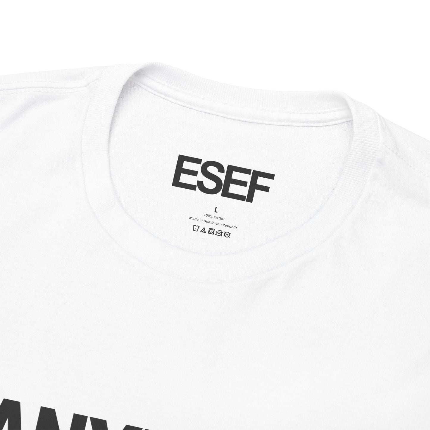 KANYE WAS RIGHT BOUT YALL - Premium Tee